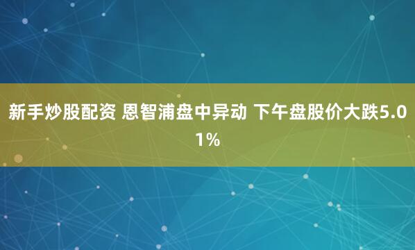 新手炒股配资 恩智浦盘中异动 下午盘股价大跌5.01%
