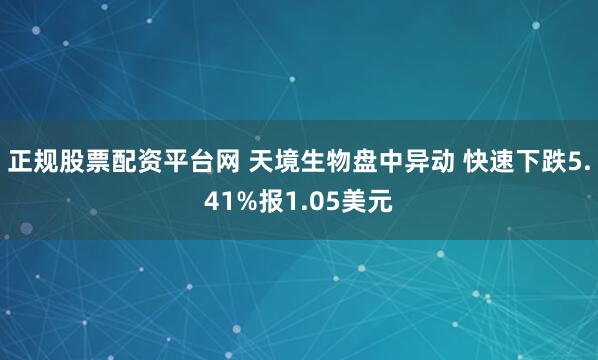 正规股票配资平台网 天境生物盘中异动 快速下跌5.41%报1.05美元